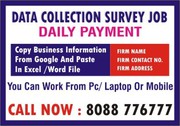  6002 Home Based Jobs  daily Freelance Survey Jobs | Work From Home |