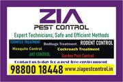 Zia Pest Control | Affordable Pest Control Near You | 100% Safe 